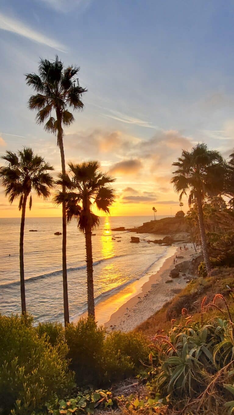 Comprehensive Addiction Treatment in Los Angeles at Wellness Detox LA